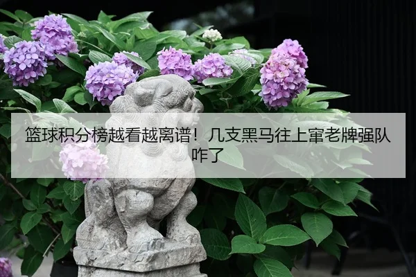 篮球积分榜越看越离谱！几支黑马往上窜老牌强队咋了