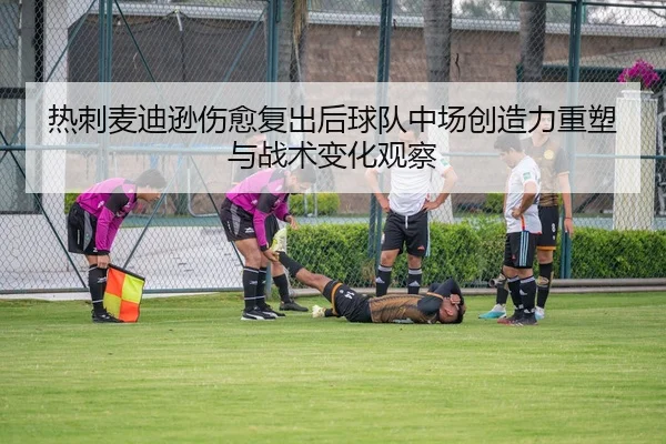 热刺麦迪逊伤愈复出后球队中场创造力重塑与战术变化观察