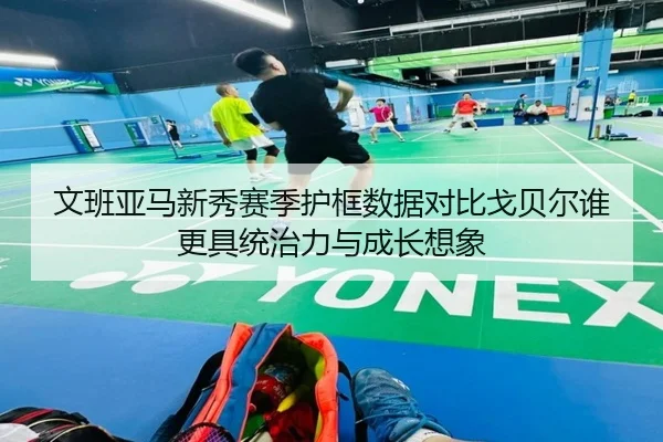 文班亚马新秀赛季护框数据对比戈贝尔谁更具统治力与成长想象