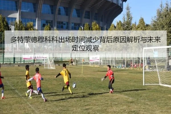 多特蒙德穆科科出场时间减少背后原因解析与未来定位观察