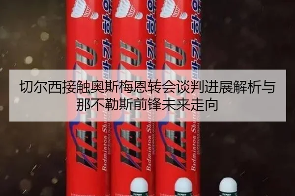 切尔西接触奥斯梅恩转会谈判进展解析与那不勒斯前锋未来走向